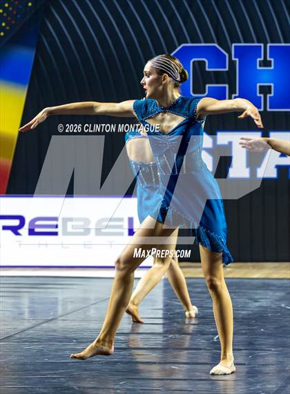 Thumbnail 3 in Cactus Shadow - (AIA Small Jazz Final) photogallery.