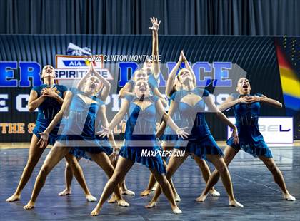 Thumbnail 3 in Cactus Shadow - (AIA Small Jazz Final) photogallery.