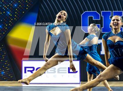 Thumbnail 1 in Cactus Shadow - (AIA Small Jazz Final) photogallery.