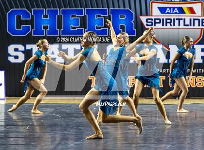 Thumbnail 1 in Cactus Shadow - (AIA Small Jazz Final) photogallery.