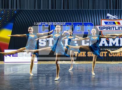 Thumbnail 3 in Cactus Shadow - (AIA Small Jazz Final) photogallery.