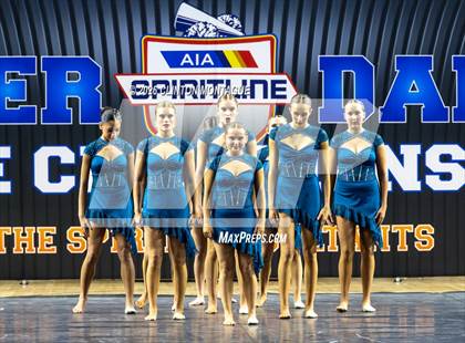 Thumbnail 1 in Cactus Shadow - (AIA Small Jazz Final) photogallery.