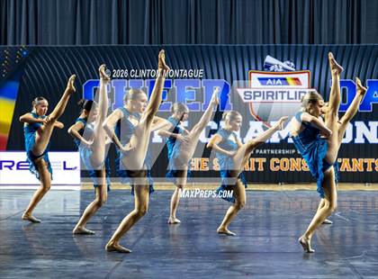 Thumbnail 3 in Cactus Shadow - (AIA Small Jazz Final) photogallery.