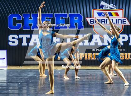 Thumbnail 1 in Cactus Shadow - (AIA Small Jazz Final) photogallery.