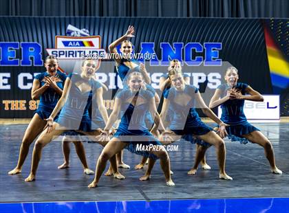 Thumbnail 1 in Cactus Shadow - (AIA Small Jazz Final) photogallery.