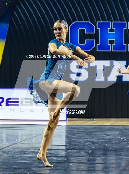 Thumbnail 2 in Cactus Shadow - (AIA Small Jazz Final) photogallery.