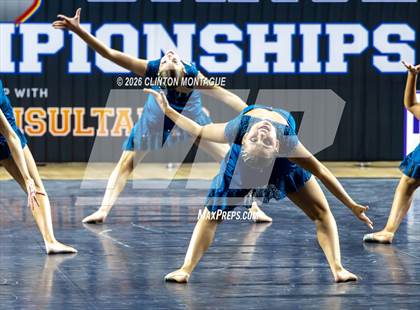 Thumbnail 3 in Cactus Shadow - (AIA Small Jazz Final) photogallery.