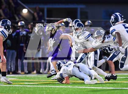 Thumbnail 2 in Olympia @ Issaquah photogallery.