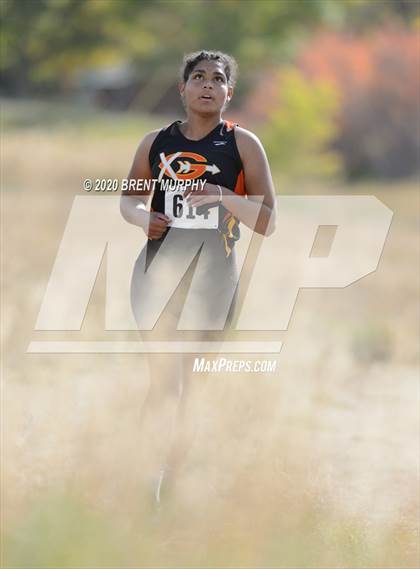 Thumbnail 3 in CHSAA Cross Country 4A Region 2 Girls photogallery.