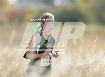 Thumbnail 3 in CHSAA Cross Country 4A Region 2 Girls photogallery.