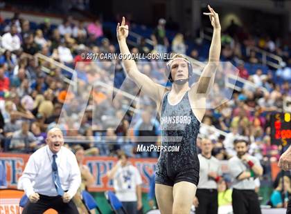 Thumbnail 3 in NCHSAA 3A Wrestling Championships photogallery.