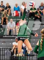 Photo from the gallery "Loveland @ Fossil Ridge"