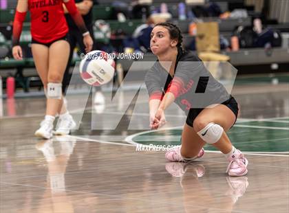 Thumbnail 2 in Loveland @ Fossil Ridge photogallery.