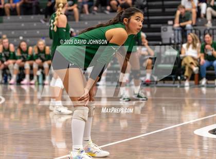 Thumbnail 1 in Loveland @ Fossil Ridge photogallery.