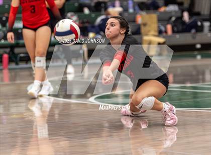 Thumbnail 3 in Loveland @ Fossil Ridge photogallery.