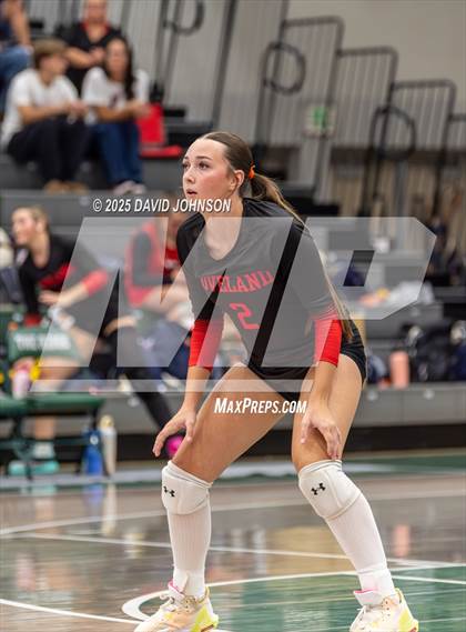 Thumbnail 1 in Loveland @ Fossil Ridge photogallery.