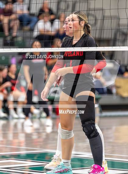 Thumbnail 3 in Loveland @ Fossil Ridge photogallery.