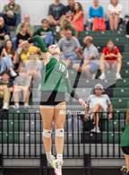 Photo from the gallery "Loveland @ Fossil Ridge"