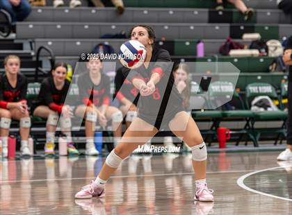 Thumbnail 2 in Loveland @ Fossil Ridge photogallery.