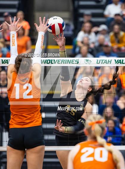 Thumbnail 3 in Lone Peak vs. Skyridge (UHSAA 6A Final) photogallery.