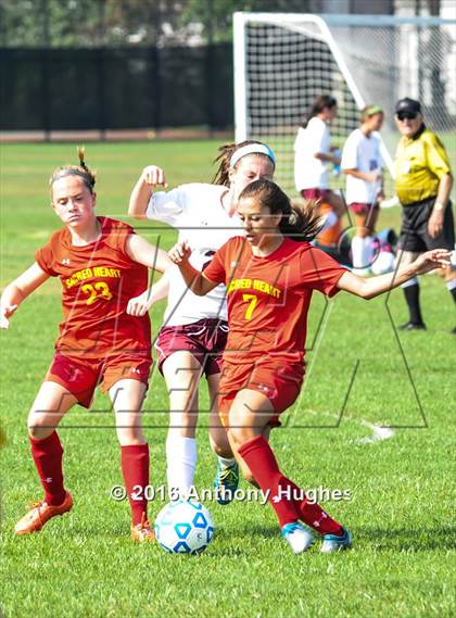 Thumbnail 1 in Sacred Heart vs Garden City photogallery.