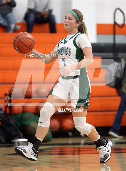 Thumbnail 1 in El Campo vs Franklin (Schulenburg Lady Horn Varsity Tournament) photogallery.