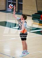 Photo from the gallery "Skyridge @ Olympus"