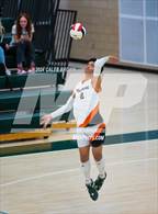 Photo from the gallery "Skyridge @ Olympus"