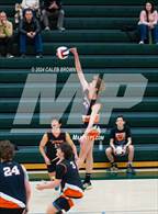 Photo from the gallery "Skyridge @ Olympus"