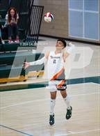 Photo from the gallery "Skyridge @ Olympus"