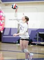 Photo from the gallery "Stagg @ Tokay"