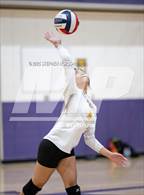 Photo from the gallery "Stagg @ Tokay"