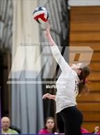 Photo from the gallery "Stagg @ Tokay"