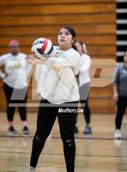 Photo from the gallery "Stagg @ Tokay"