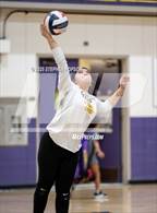 Photo from the gallery "Stagg @ Tokay"