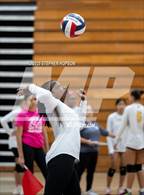 Photo from the gallery "Stagg @ Tokay"