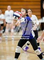 Photo from the gallery "Stagg @ Tokay"