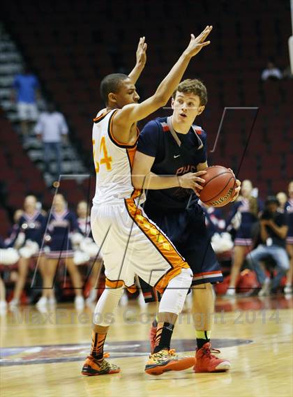 Thumbnail 1 in Pinnacle vs. Corona del Sol (AIA D1 Final) photogallery.