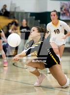 Photo from the gallery "Green Mountain @ Conifer"