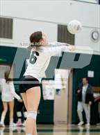 Photo from the gallery "Green Mountain @ Conifer"