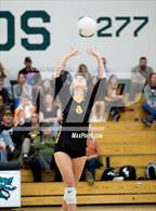 Photo from the gallery "Green Mountain @ Conifer"