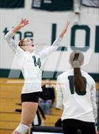 Photo from the gallery "Green Mountain @ Conifer"