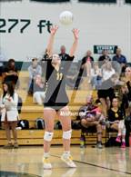 Photo from the gallery "Green Mountain @ Conifer"