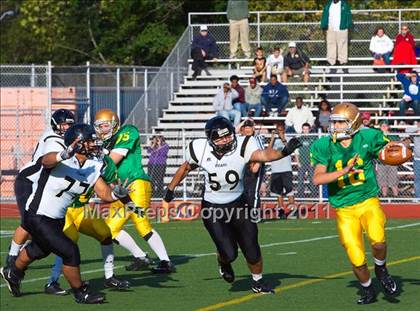 Thumbnail 3 in St. Anthony's @ Holy Cross photogallery.