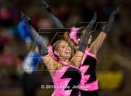 Thumbnail 2 in Fort Bend Elkins @ Ridge Point photogallery.