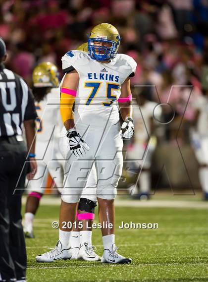 Thumbnail 1 in Fort Bend Elkins @ Ridge Point photogallery.