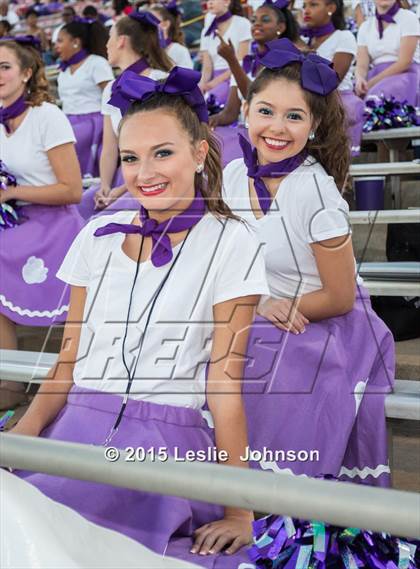 Thumbnail 3 in Fort Bend Elkins @ Ridge Point photogallery.