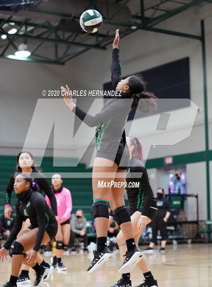 Thumbnail 2 in Porter vs Ellison [C.E.]  photogallery.