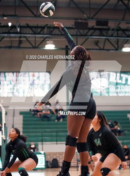 Thumbnail 1 in Porter vs Ellison [C.E.]  photogallery.