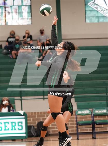 Thumbnail 3 in Porter vs Ellison [C.E.]  photogallery.